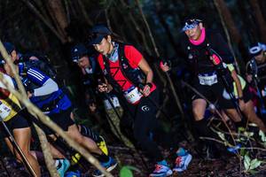 BIB: 2571, 3360
                            <button type="button" onclick="openModal(19040333)" class="btn btn-primary btn-sm float-right btn-popup" data-toggle="modal" data-target=".modal-high-quality">
                        <i class="fas fa-shopping-cart"></i> Add to Cart
                    </button>
                                            <button type="button" onclick="isThisMe(19040333, true)" class="btn btn-success btn-sm float-right btn-popup btn-isme hidden" data-toggle="tooltip" data-placement="bottom" title="นี่คือรูปของคุณใช่ไหม คลิกที่นี่เพื่อเอาเข้าอัลบั้ม">
                        <i class="fas fa-plus"></i> Add to album
                    </button>
                    <button type="button" onclick="isThisMe(19040333, false)" class="btn btn-warning btn-sm float-right btn-popup btn-isnotme hidden">
                        <i class="fas fa-ban"></i> Remove from album
                    </button>